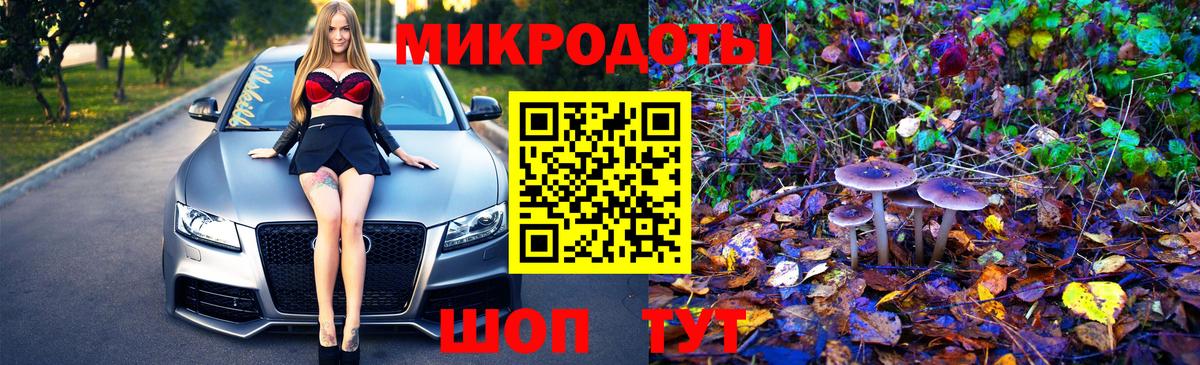 Галлюциногенные грибы Psilocybine cubensis Красный Сулин