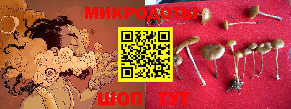 Галлюциногенные грибы мицелий  Псилоцибиновые грибы прущие грибы  Красный Сулин  Вход с VPN 